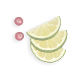 fruits